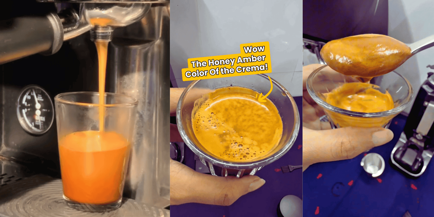 Key Reasons Why High Quality Robusta Coffee Beans Can Make Thicker, Richer & Creamier Crema for Espresso